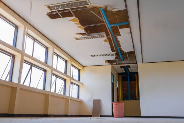 Best Commercial water damage restoration  in Woburn, MA
