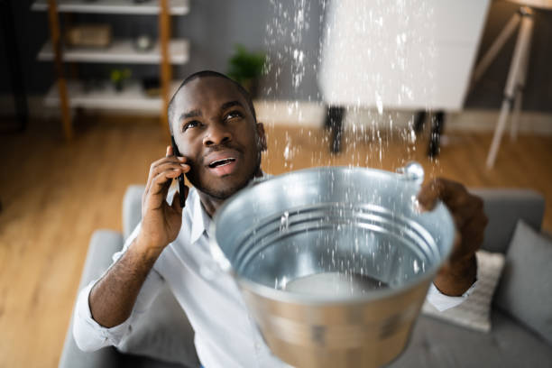 Best Professional water damage repair  in Woburn, MA